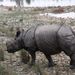 2005_nepaltrip_034